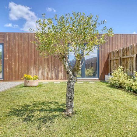 Caju Villas Montargil - Villa Farinha Branca المظهر الخارجي الصورة